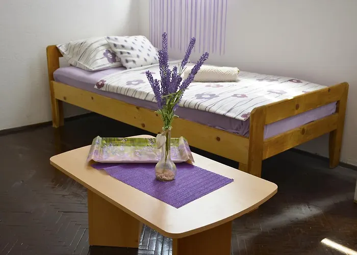 Apartament Maja