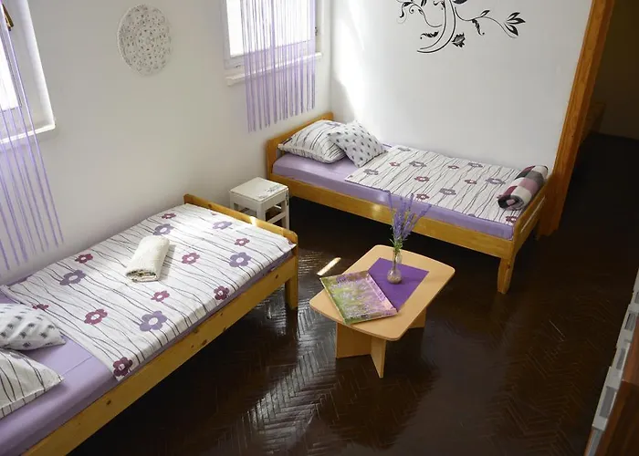 Apartament Maja Vir